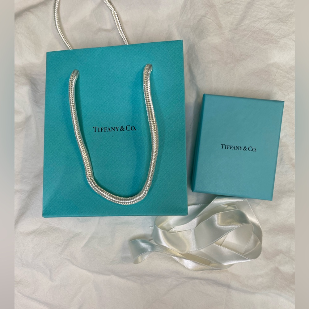 Tiffany & Co Empty Gift Set, Paper Bag And Box w/ Satin Ribbon